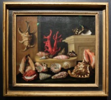 Jacques Linard, "Nature morte aux coquillages et au corail", 1640 : Ce tableau est exposé dans une niche dédiée aux natures mortes et autres objets de curiosité. Je n'ai malheureusement pas réussi à photographier cette installation en entier.
